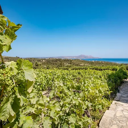 Prázdninový dům Konstantinos Hilltop Vineyard Escape *